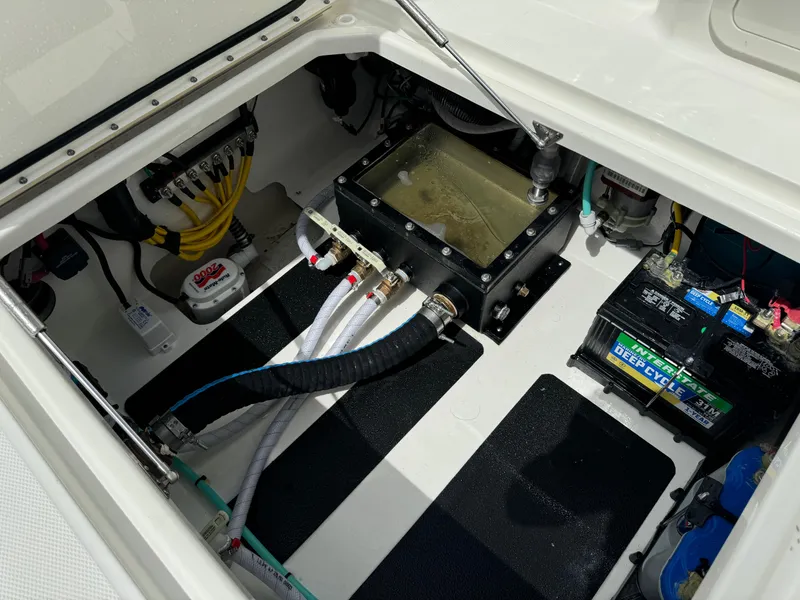 Slide: The Image of World Cat 400 DC-X 2024 - 40