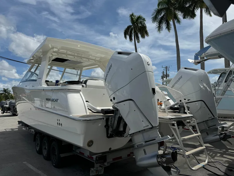 Slide: The Image of World Cat 400 DC-X 2024 - 5