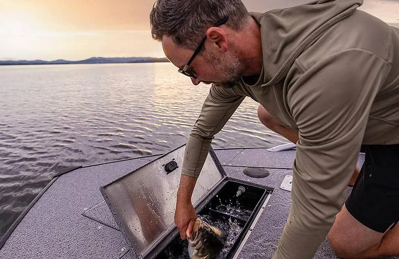 Slide: The Image of Man fishing on a 2025 Lowe Deck SD224 boat at sunset. - 35