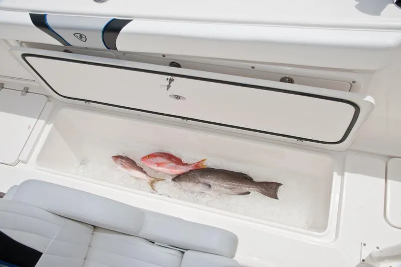 Slide: The Image of Fish storage compartment on 2015 Century 3200 Center Console boat. - 9