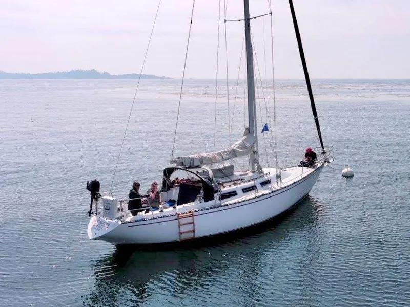 Slide: The Image of 1980 Catalina 38 sailboat on calm water with people onboard. - 37