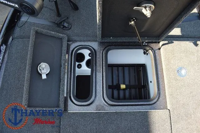 Slide: The Image of Bass Cat Cougar FTD 2025 - 15