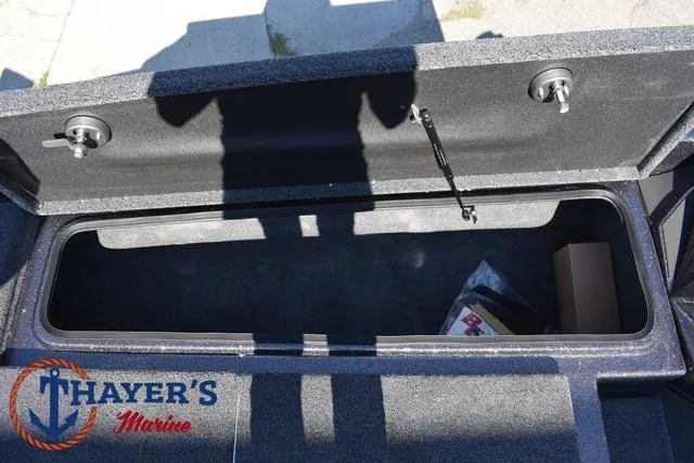 Slide: The Image of Bass Cat Cougar FTD 2025 - 16