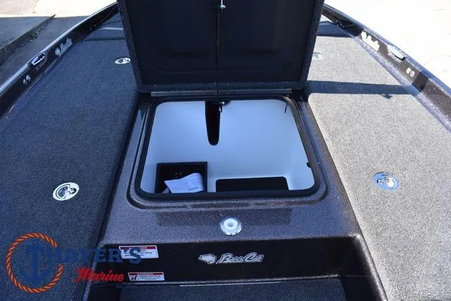 Slide: The Image of Bass Cat Cougar FTD 2025 - 17