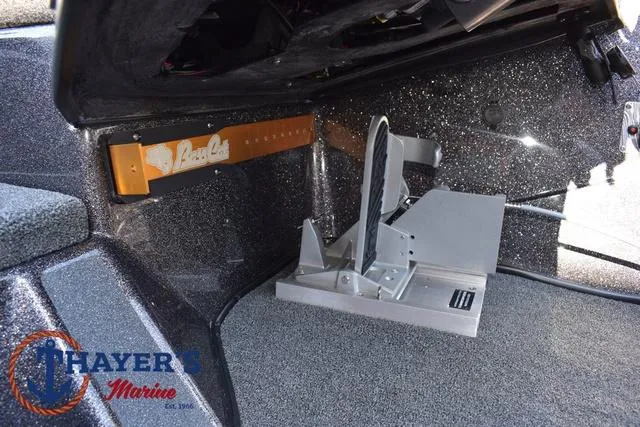 Slide: The Image of Bass Cat Cougar FTD 2025 - 31