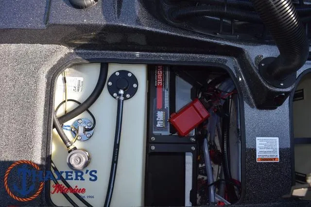 Slide: The Image of Bass Cat Cougar FTD 2025 - 48