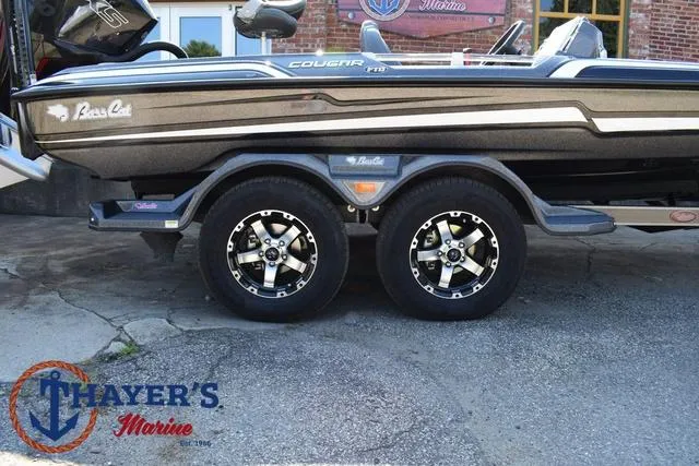 Slide: The Image of Bass Cat Cougar FTD 2025 - 6