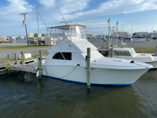 The Image of 1985 Bertram 38 Convertible yacht docked at marina under blue sky. - 0