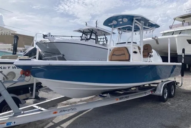 Slide: The Image of Sea Pro 250 DLX 2025 - 0