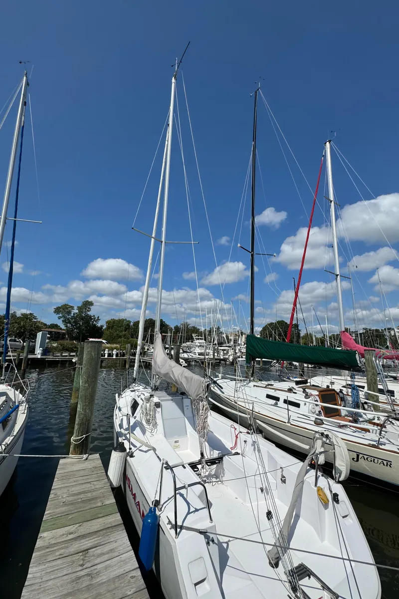 Slide: The Image of All Rigged Ip - 10