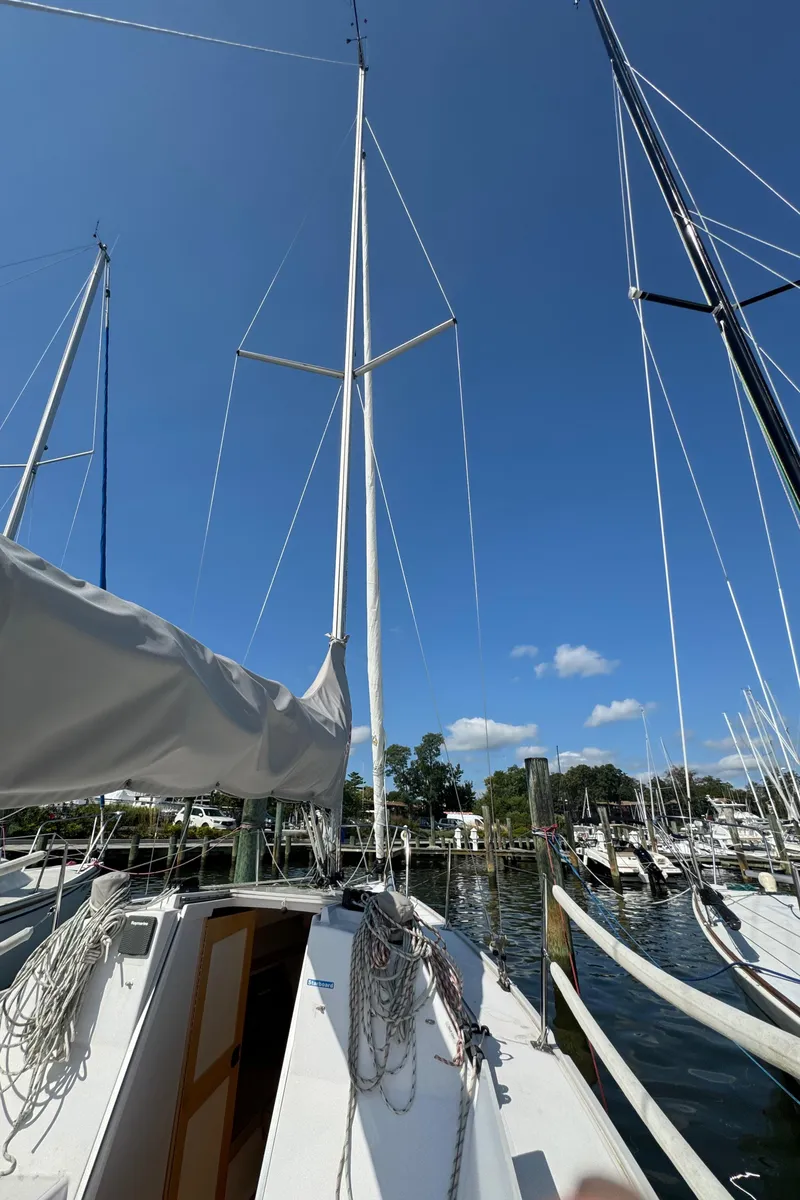 Slide: The Image of Rigged Up - 37