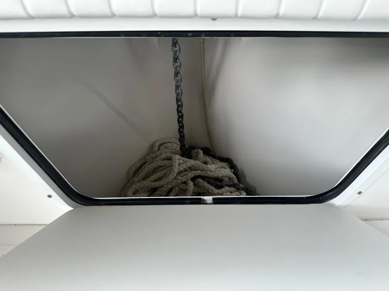 Slide: The Image of Palmetto 33 2008 - 51