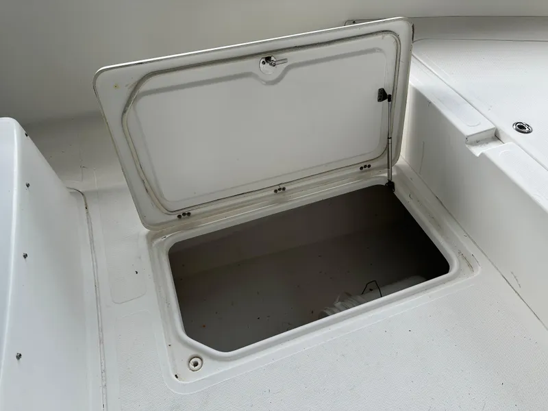 Slide: The Image of Palmetto 33 2008 - 53