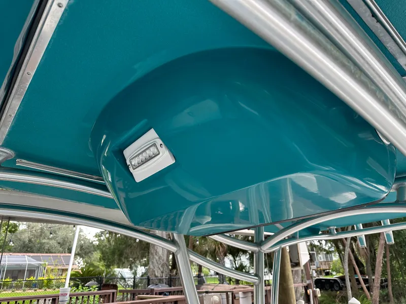 Slide: The Image of Palmetto 33 2008 - 59