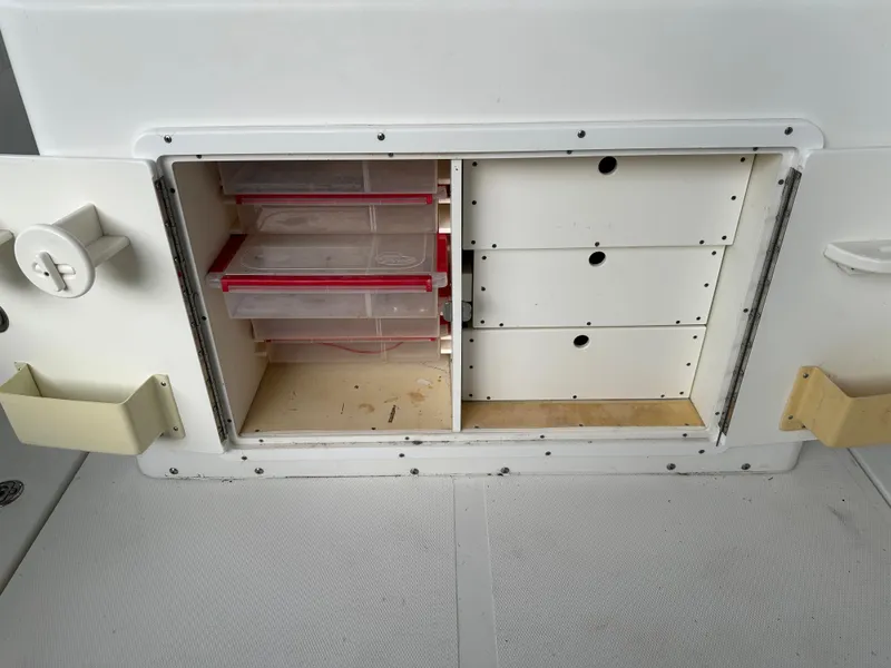 Slide: The Image of Palmetto 33 2008 - 66