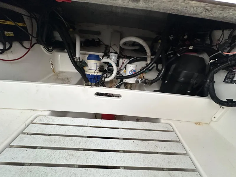 Slide: The Image of Palmetto 33 2008 - 72