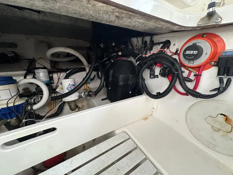 Slide: The Image of Palmetto 33 2008 - 78