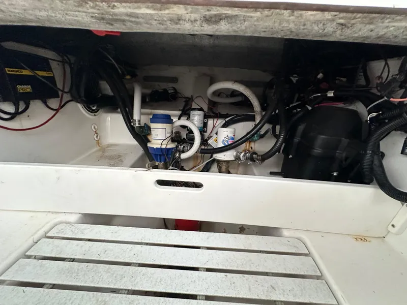 Slide: The Image of Palmetto 33 2008 - 79