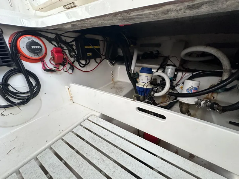 Slide: The Image of Palmetto 33 2008 - 80