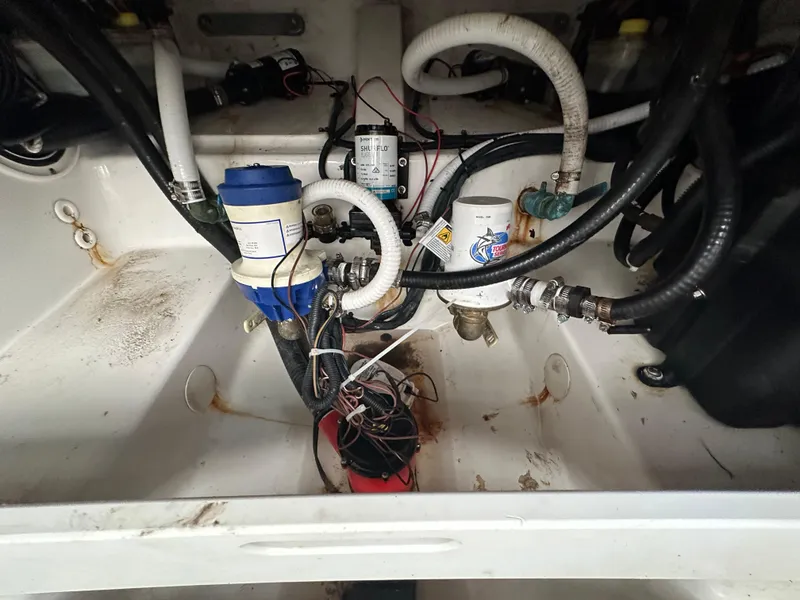 Slide: The Image of Palmetto 33 2008 - 81