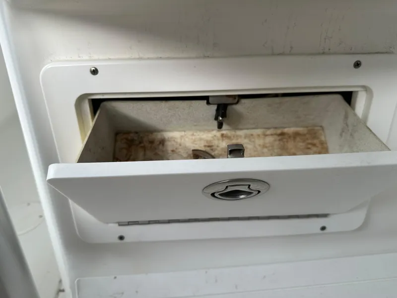 Slide: The Image of Palmetto 33 2008 - 83