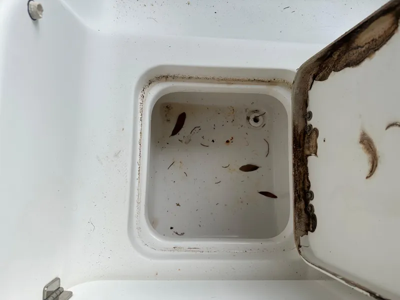 Slide: The Image of Palmetto 33 2008 - 92