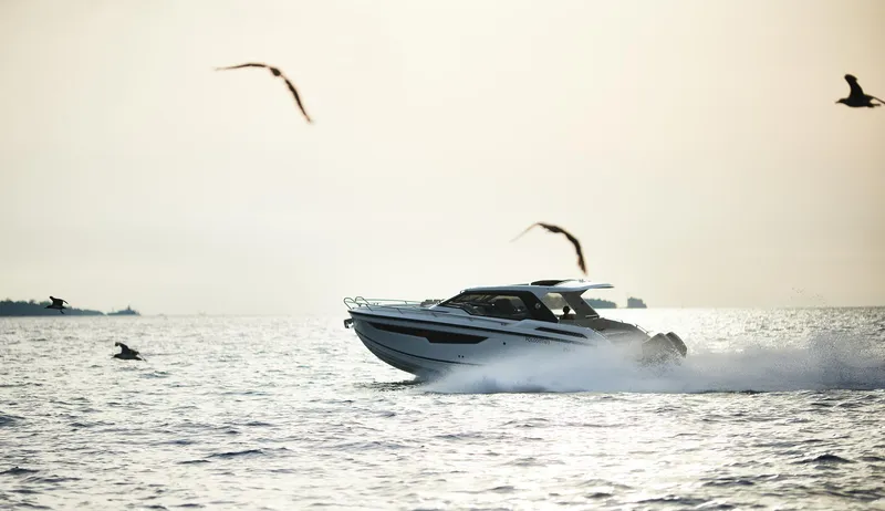 Slide: The Image of 2024 Skamander Sorrento boat cruising on open water with seagulls flying nearby. - 13