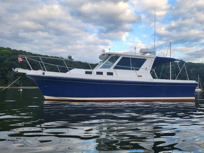 The Image of Profile - 1