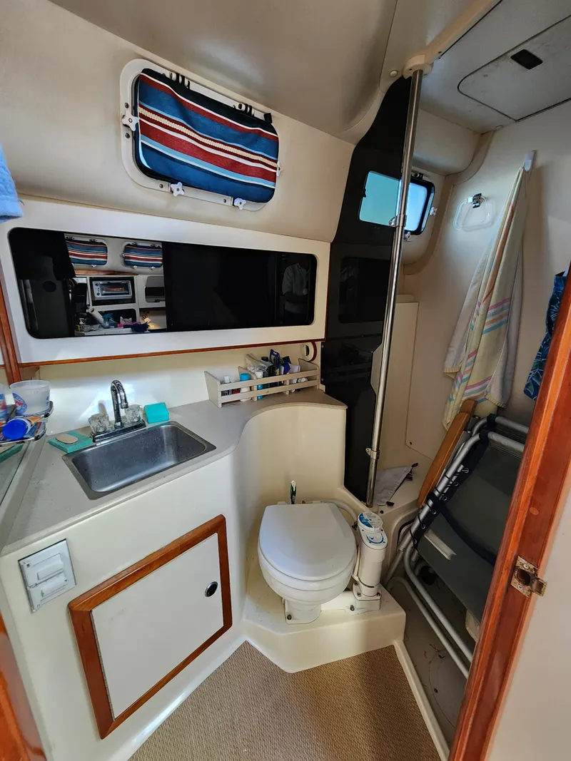 Slide: The Image of Head - 7