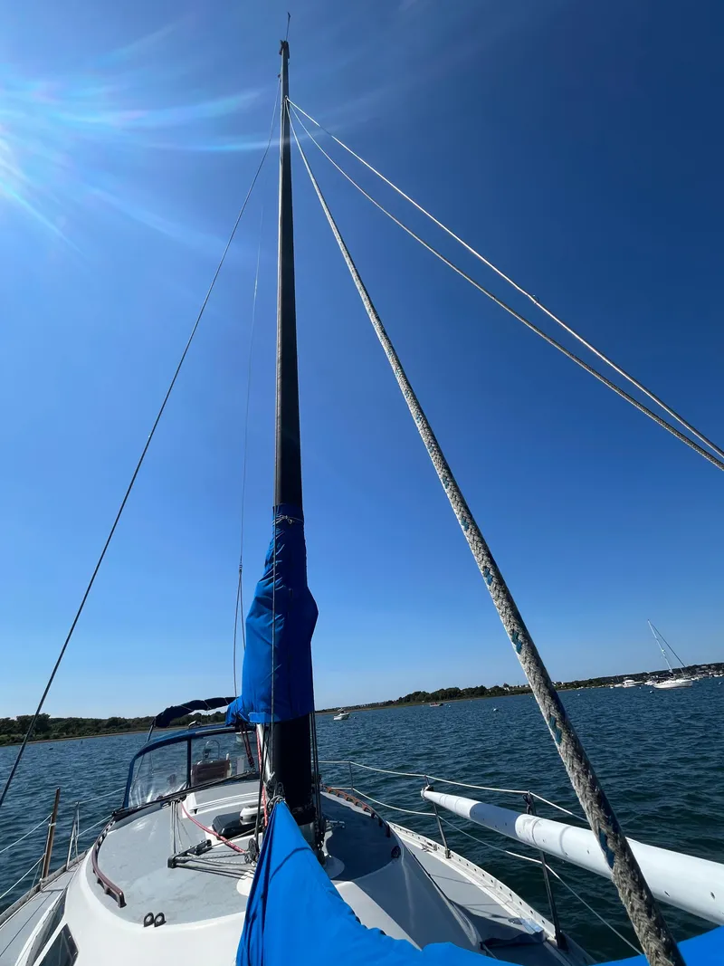 Slide: The Image of Freedom 32 1984 - 19