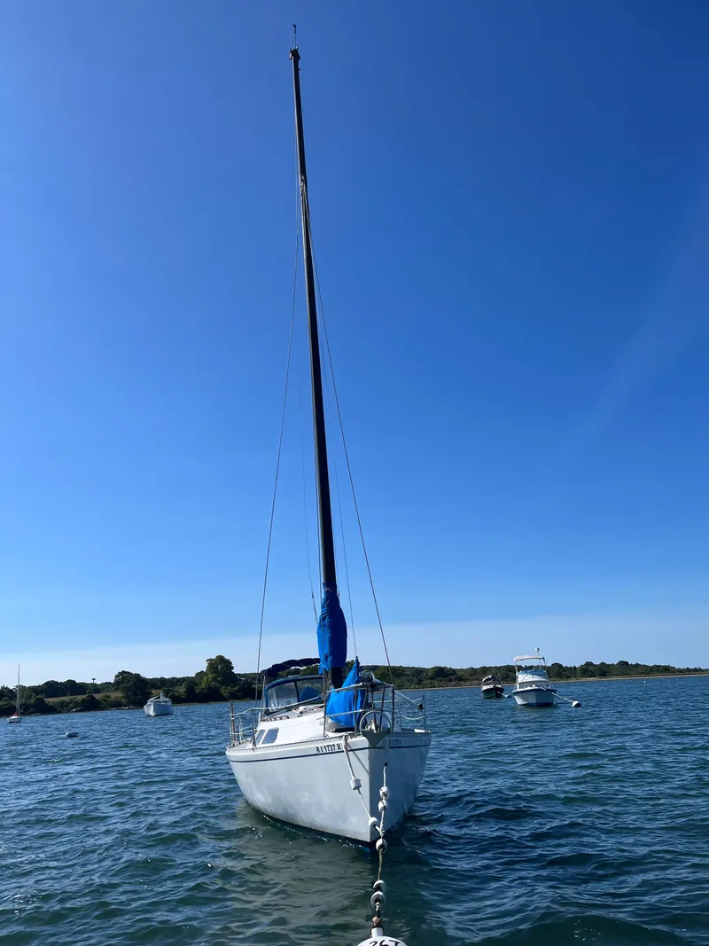 Slide: The Image of Freedom 32 1984 - 3