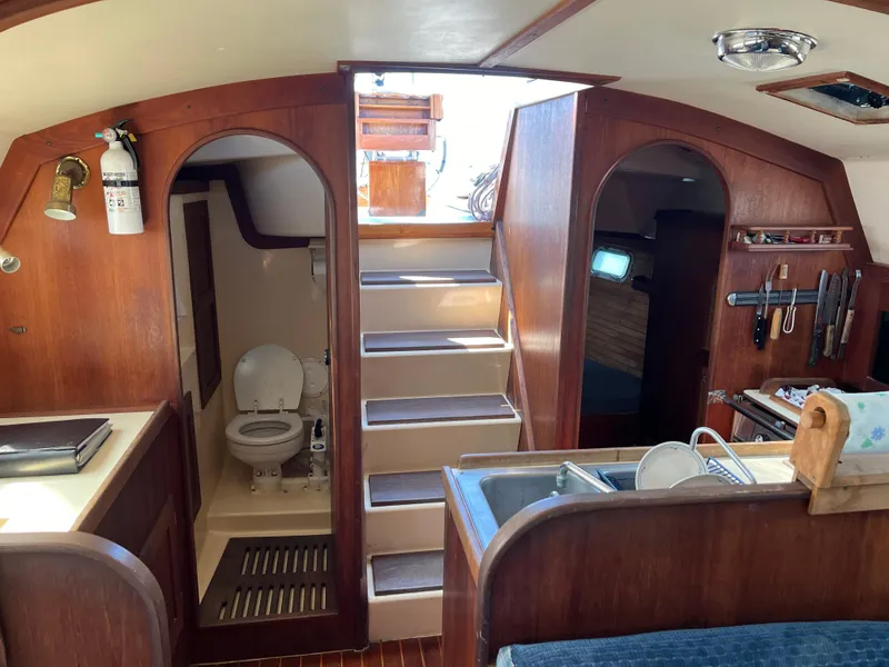 Slide: The Image of Freedom 32 1984 - 33