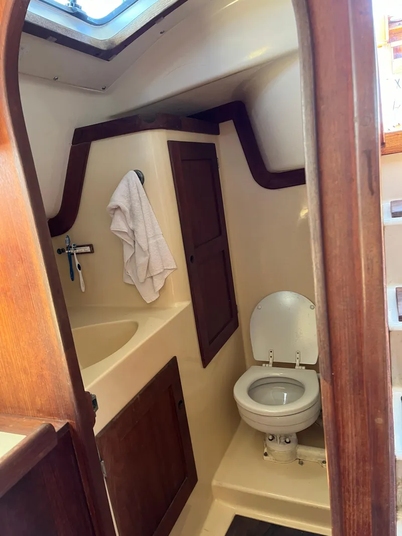 Slide: The Image of Freedom 32 1984 - 37