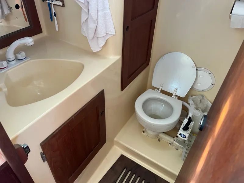 Slide: The Image of Freedom 32 1984 - 38