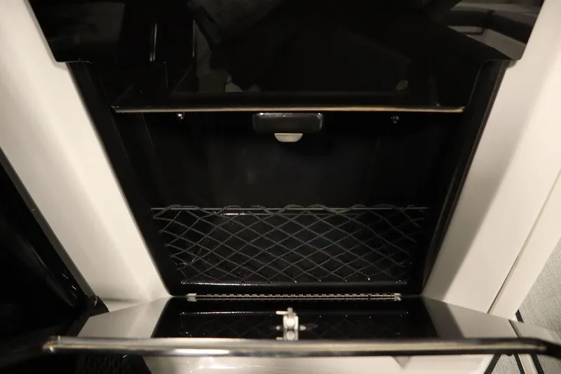 Slide: The Image of 2025 Yamaha Boats 250 SX storage compartment with netting and sleek design. - 35