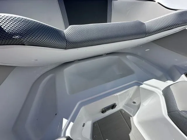 Slide: The Image of Scarab 255 SE 2025 - 17