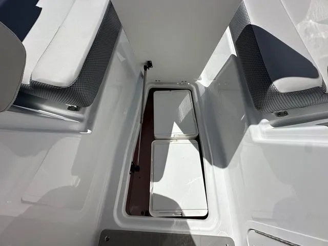 Slide: The Image of Scarab 255 SE 2025 - 20