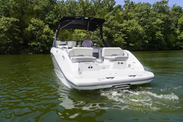 Slide: The Image of Scarab 255 SE 2025 - 5