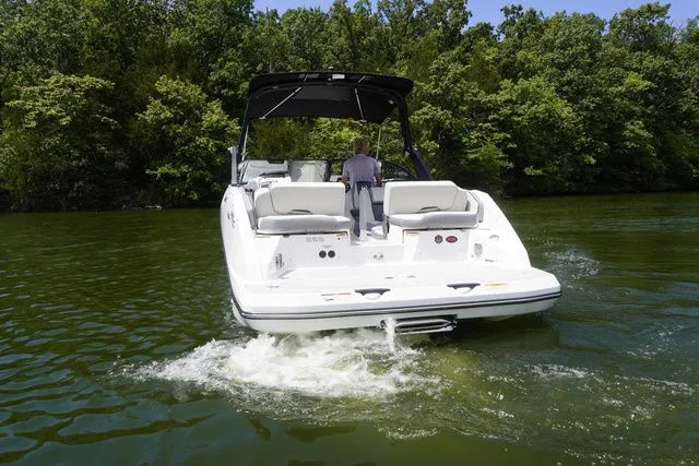 Slide: The Image of Scarab 255 SE 2025 - 6