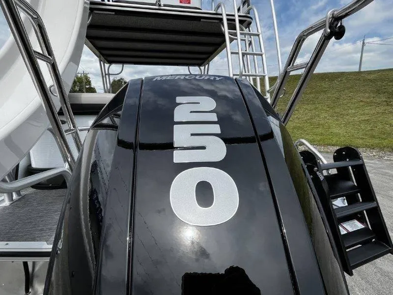 Slide: The Image of Crest Caribbean 250 USD 2025 - 11