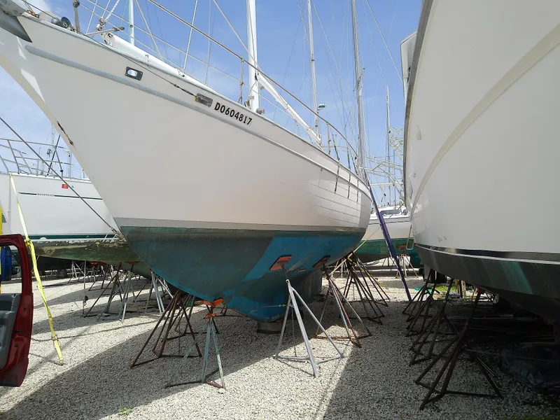 The Image of 1978 Downeast 38 sailboat on stands in a boatyard. - 1