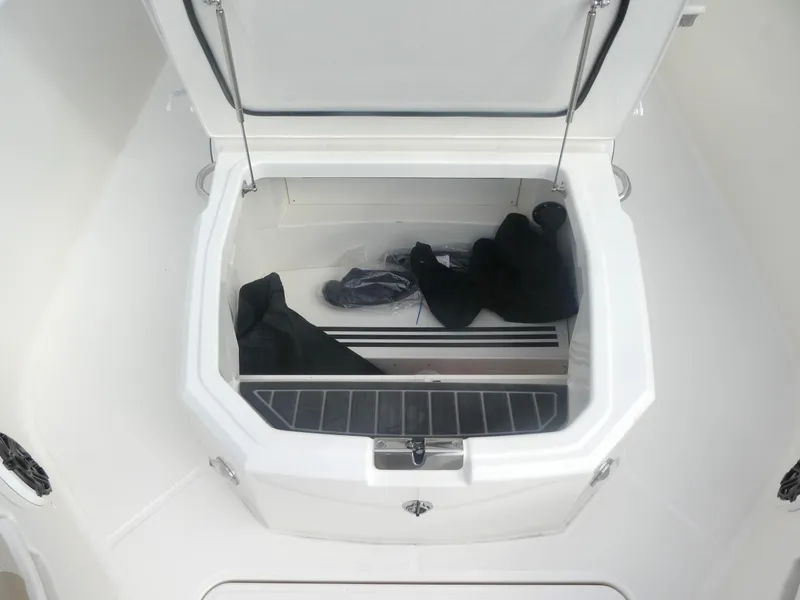 Slide: The Image of Open storage compartment on 2024 Boston Whaler 280 Dauntless boat. - 9