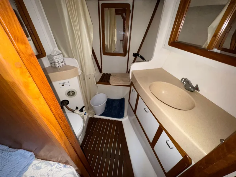 Slide: The Image of Master Head and Shower - 4