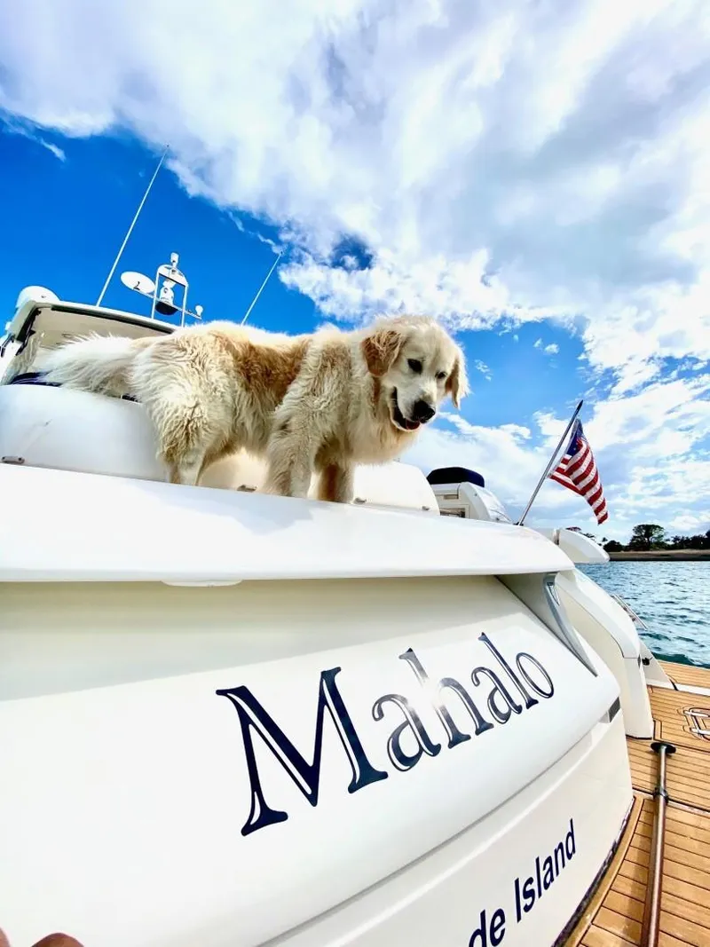 Slide: The Image of Golden retriever on 2007 Fairline Targa 52 yacht named Mahalo, with American flag. - 23