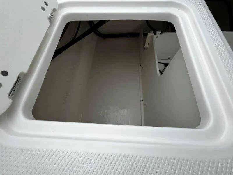 Slide: The Image of Chaparral 21 SSi Ski & Fish 2025 - 151