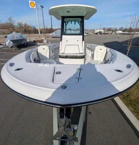 Slide: The Image of Stingray 253CC 2025 - 10