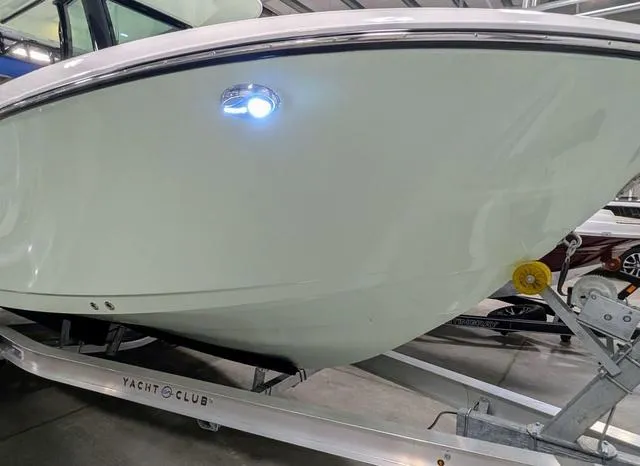 Slide: The Image of Stingray 253CC 2025 - 16