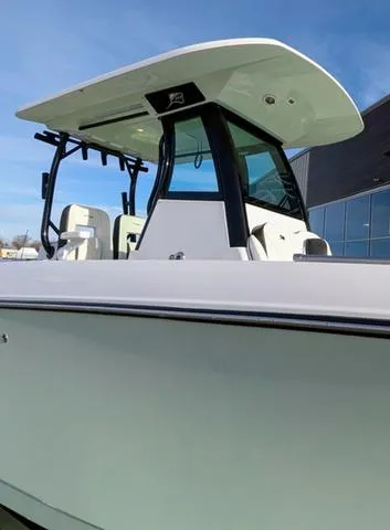 Slide: The Image of Stingray 253CC 2025 - 17