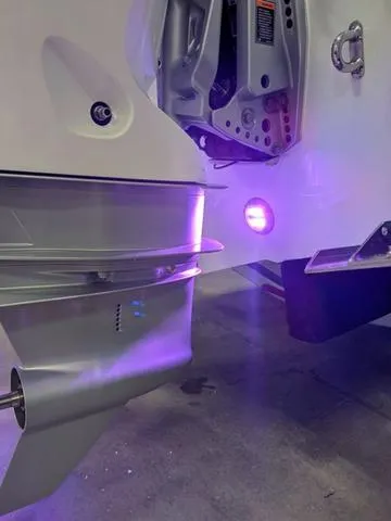 Slide: The Image of Stingray 253CC 2025 - 21