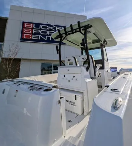 Slide: The Image of Stingray 253CC 2025 - 23